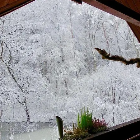 Haus-Am-Wald-Klingberg-Obergeschoss * شاربوتس